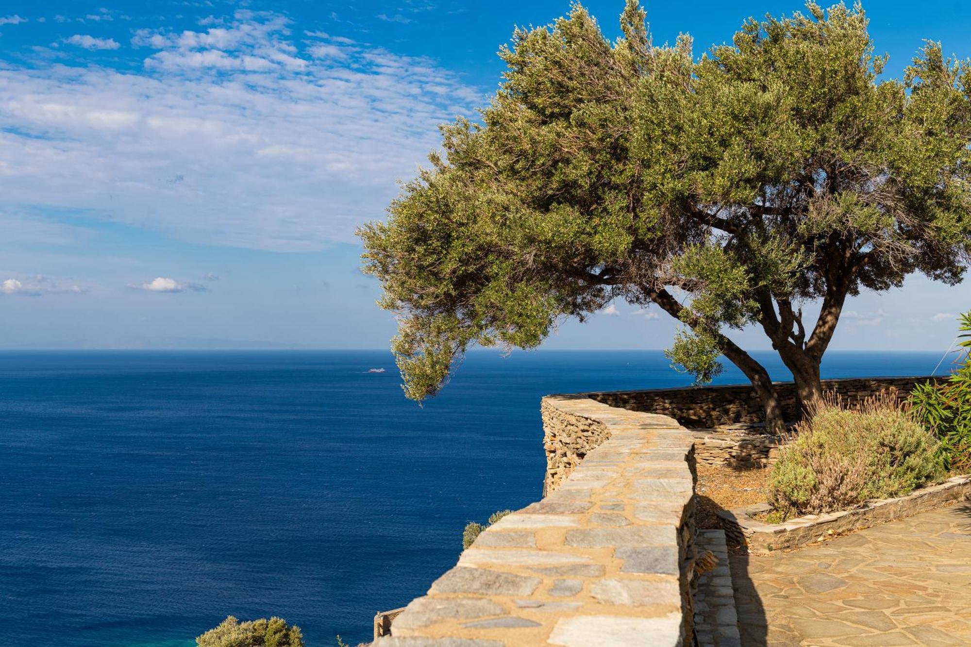 Andros Serenity Retreat - Adults Only Episkopion  Dış mekan fotoğraf
